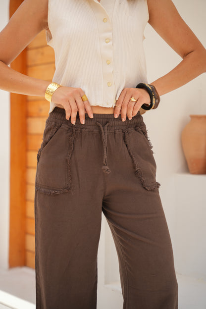 Nomad Pants in Brown
